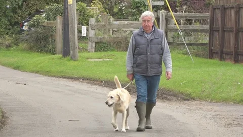 Older Man Walking Dog in a Field Stock Footage 80419862
