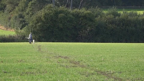 Older Man Walking Dog in a Field Stock Footage 80419983