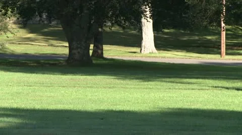 Older man walking through park for exercise Stock Footage 10775338