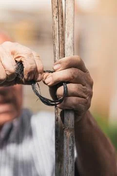 Older man's hands at work, selective focus on work being done Stock Photos