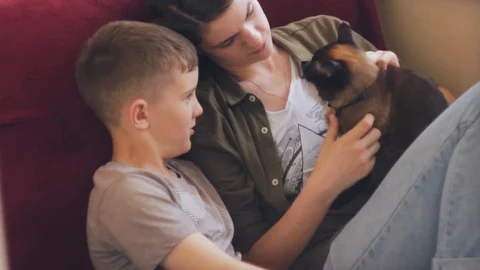 Older sister stroking a cat with her younger brother Stock-Footage 108626164