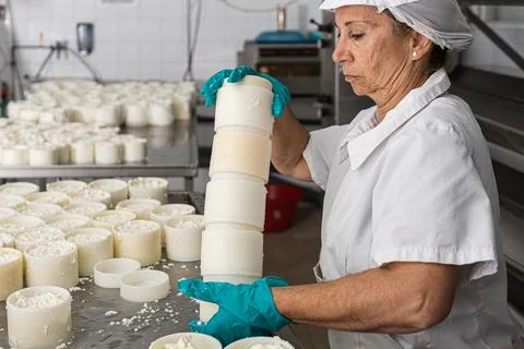 Older worker stacking the moulds filled with curds Stock Photos
