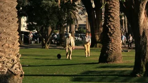 OldermanWalksDogNpark 3578 Stock Footage 11231391