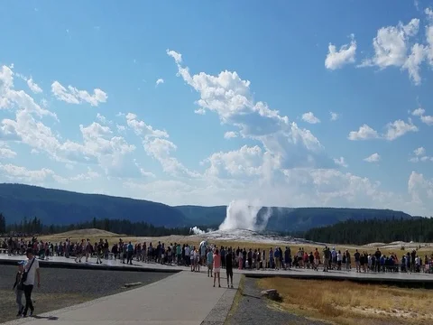 OldFaithful 20 Stock-Footage 80259136