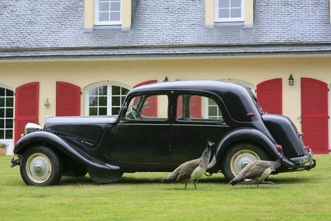 Oldtimer Citroen Traction 11 BL legere von 1957 in schwarz, 4 Zylinder Rei... Stock Photos