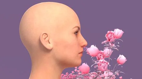 Olfactory system, sensory system used for smelling, olfaction  senses. Illustrazione stock