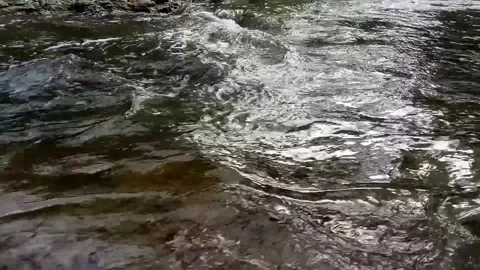 Olga Bosharova Stock Footage 141178942