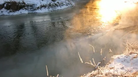 Olga Bosharova Stock Footage 148229650