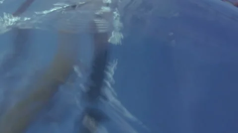 Olimpyc swimming pool choreography Stock Footage 64928970