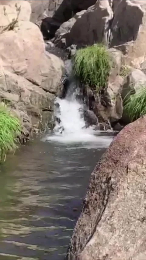 Olive anchorage waterfall in Collo, Skikda state, Algeria Video stock 139077258