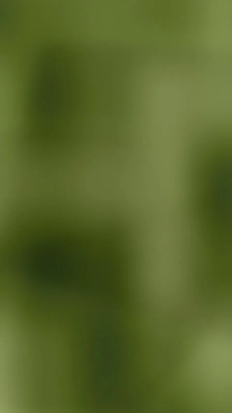 Olive and dark forest green blurred cloudy texture slowly changing. 2d animation Stock Footage 346367751
