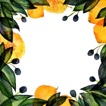 Olive and lemon square frame by hand drawn watercolor Stock Illustration