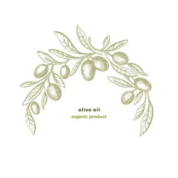 Olive arc pattern. Vector circle frame. Bio food Stock Illustration