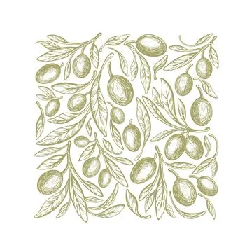 Olive background. Square print Vector green branch Stock Illustration