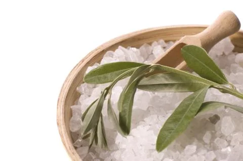 Olive bath Stock Photos