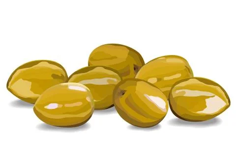 Olive berries on a white background vector Stock Illustration