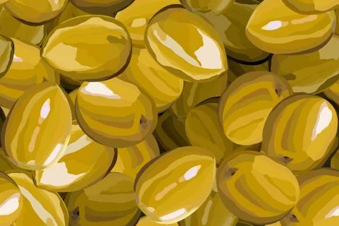 Olive berries on a white background vector illustration Stock Illustration