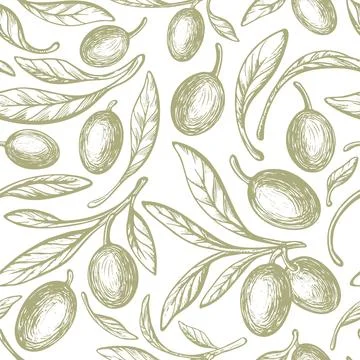 Olive bio print. Rustic leaves, green fruit Vector Stock Illustration