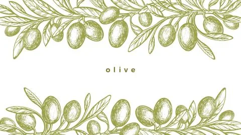 Olive border, engraving. Vector leaves, oil fruits Stock Illustration