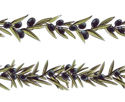 Olive border. Greece branches seamless frame olive branch vector Illustrazione stock