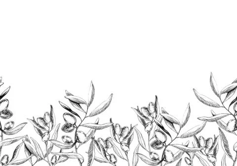 Olive border Stock Illustration