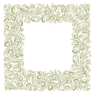 Olive border. Vector green branch, oil fruit Stock Illustration