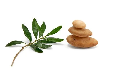Olive branch and a stack of zen stones isolated on a white background. Stock Photos