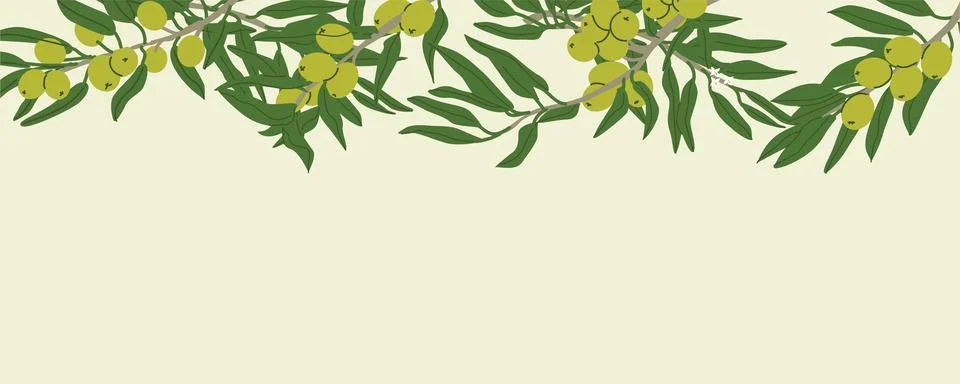 Olive branch border, cartoon flat vector illustration. Stock Illustration
