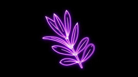 Olive Branch Colorful Loop Stock Footage 242095761