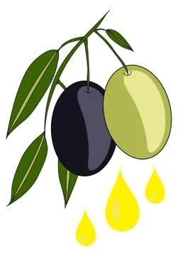 Olive branch Illustrazione stock