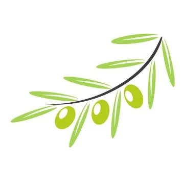 Olive branch label on white background, stock vector illustration Stock Illustration