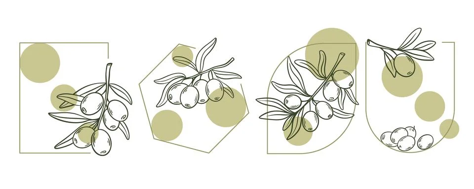 Olive branch labels set Vector graphics Stock Illustration