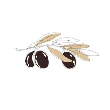 Olive branch with leaves. Continuous line hand drawn botanical vector Stock Illustration