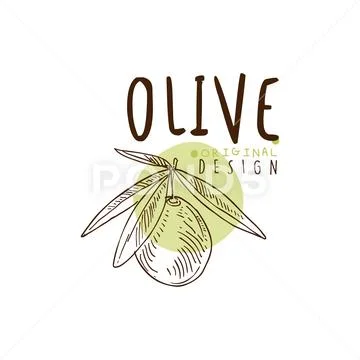 Olive On A Branch Olive Oil Label With Olives Hand Drawn And Leaves ...