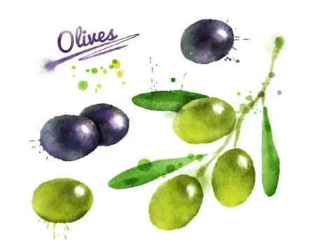 Olive branch with paint splashes. Stock Illustration