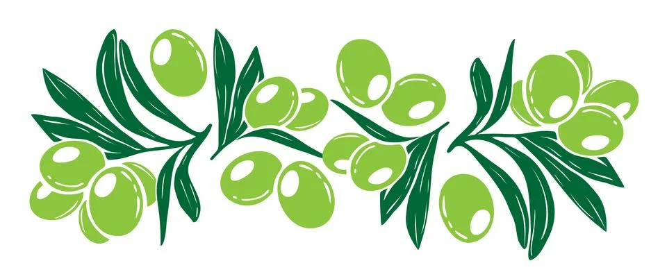 Olive branch pattern. Vector hand drawn decorations with texture branches, gr Stock Illustration
