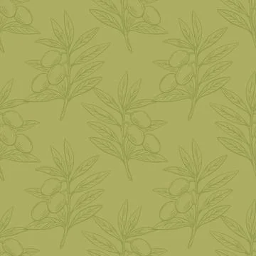 Olive branch seamless Mediterranean pattern on green background Stock Illustration
