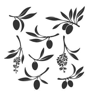 Olive branch set. Vector silhouette. Nature shape Stock-Illustration