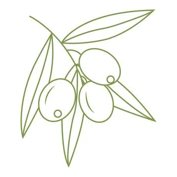 Olive branch. Simple icon in doodle style for your design. Vector illustratio Stock Illustration