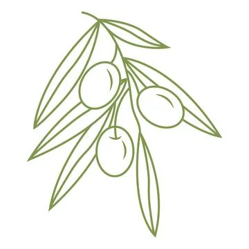 Olive branch. Simple icon in doodle style for your design. Vector illustratio Stock Illustration