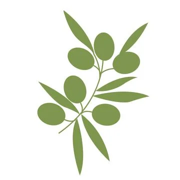 Olive branch. Simple icon  for your design. Vector illustration. Stock Illustration