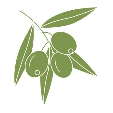 Olive branch. Simple icon  for your design. Vector illustration. Stock Illustration
