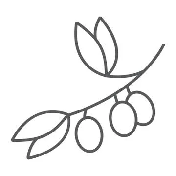 Olive branch thin line icon, plant and tree, olives sign, vector graphics, a Stock Illustration