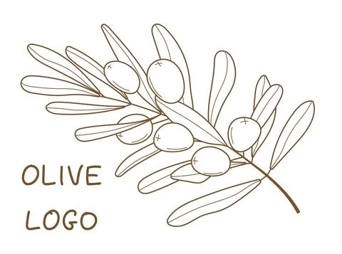 Olive branch vector in doodle, sketch style. Ink, pencil hand drawn olive tre 스톡 일러스트
