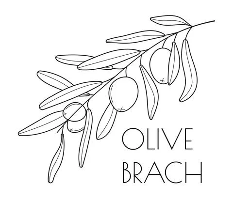 Olive branch vector in doodle, sketch style. Black, minimal single line botan Stock Illustration