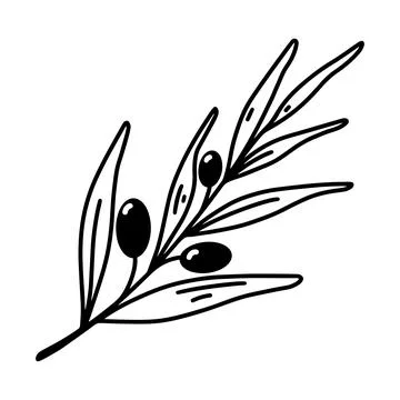Olive branch vector icon. Hand drawn illustration isolated on white Ilustración de archivo