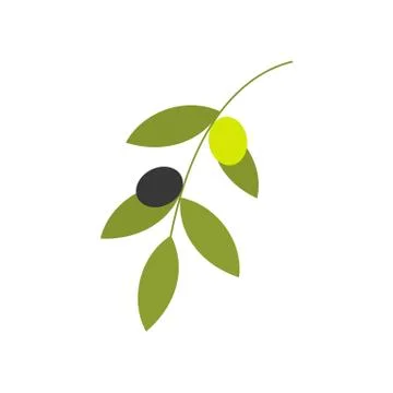 Olive branch vector illustration isolated on white background. Stock Illustration