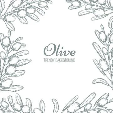 Olive branch wreath border with empty space for your text. Hand drawn olive tree Illustrazione stock