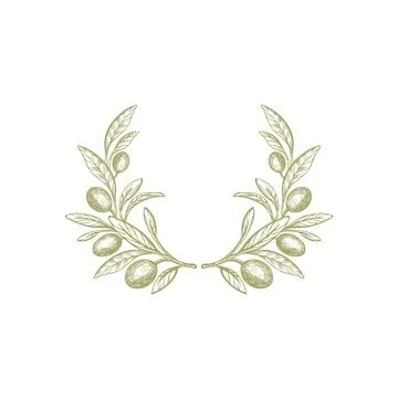 Olive branch, wreath. Vector fruit, green foliage Stock Illustration
