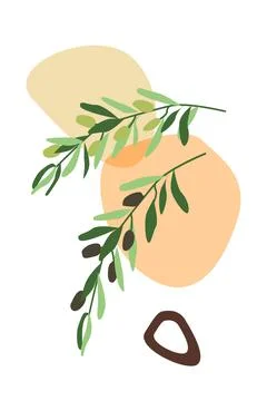 Olive branches with abstract shapes flat vector Stock Illustration